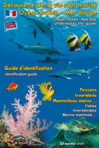Découverte Vie Ss Marine - Océan Indien & Mer Rouge