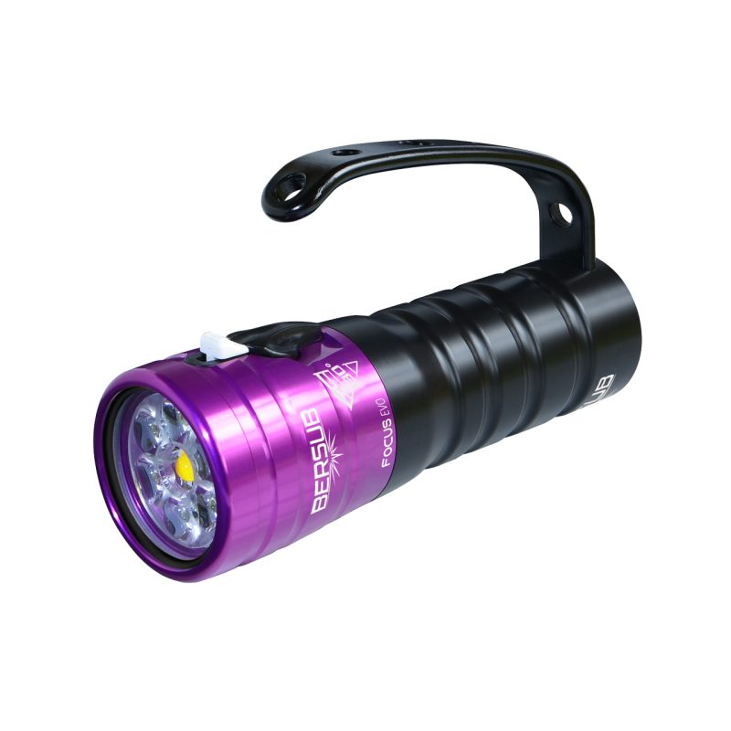 FOCUS EVO – Image 3