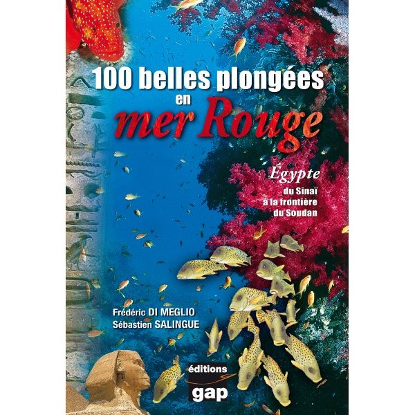 100 belles plongées en mer rouge